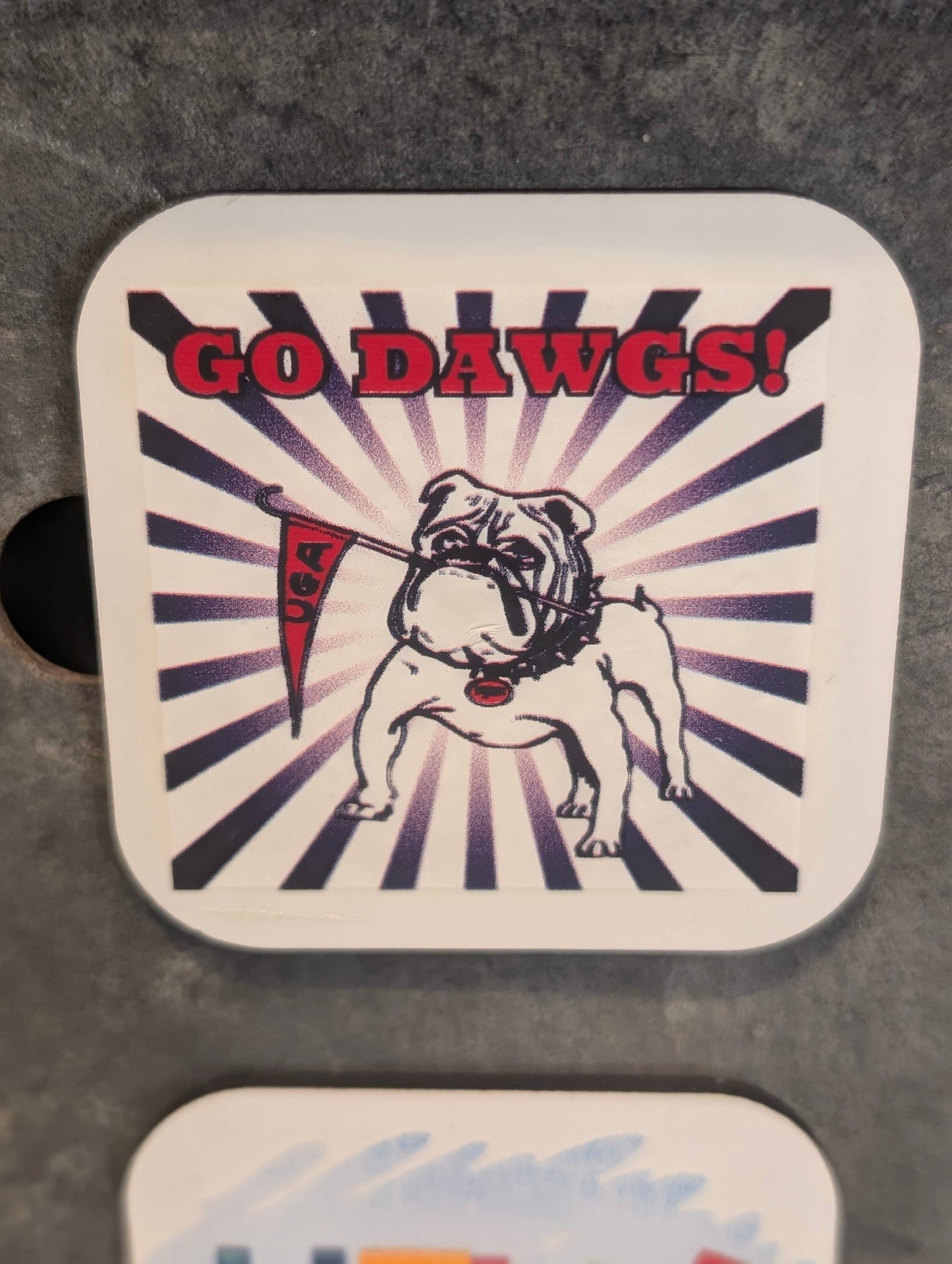 Go Dawgs Magnet