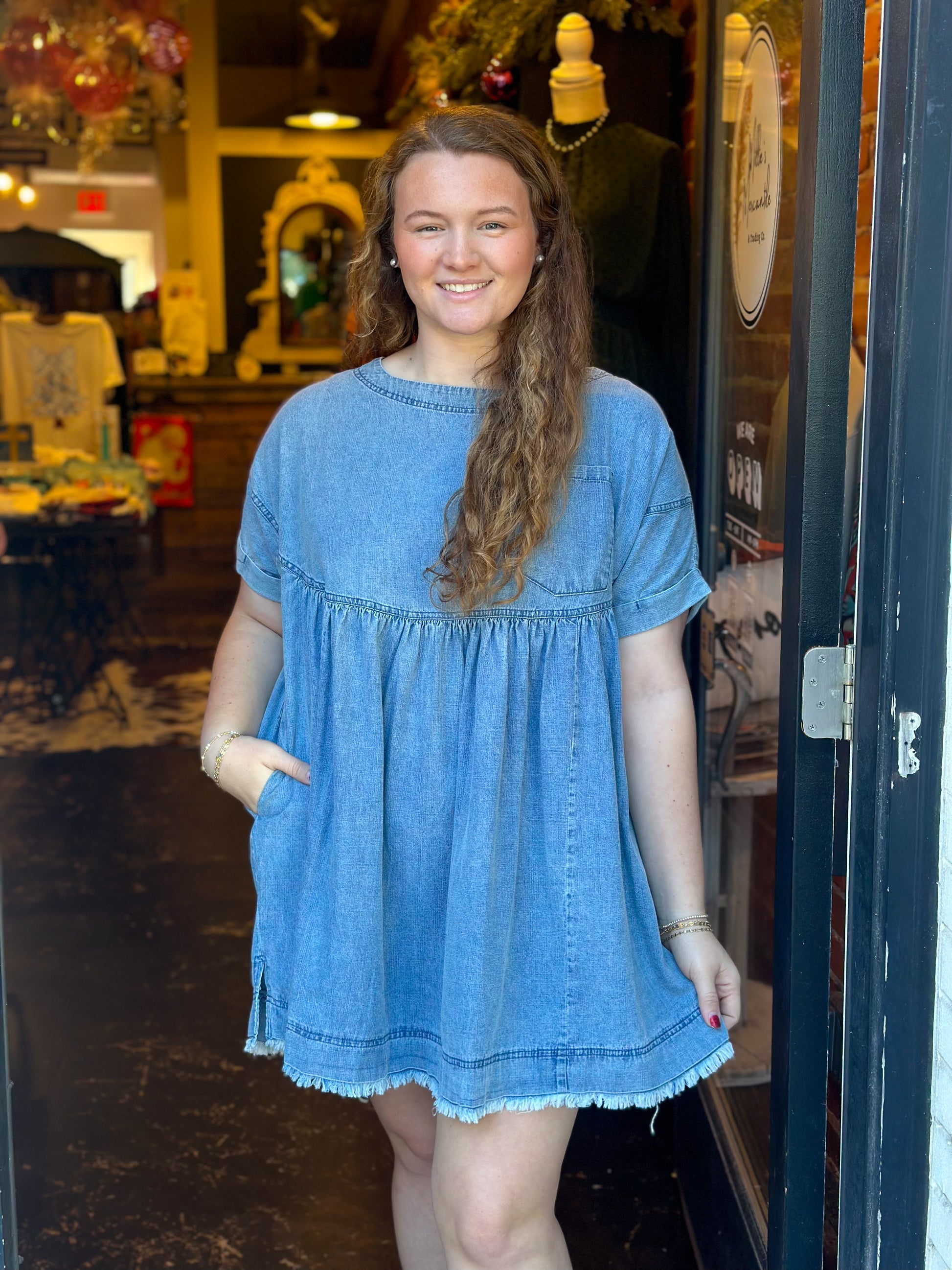 dani denim dress Dani Mini Dress