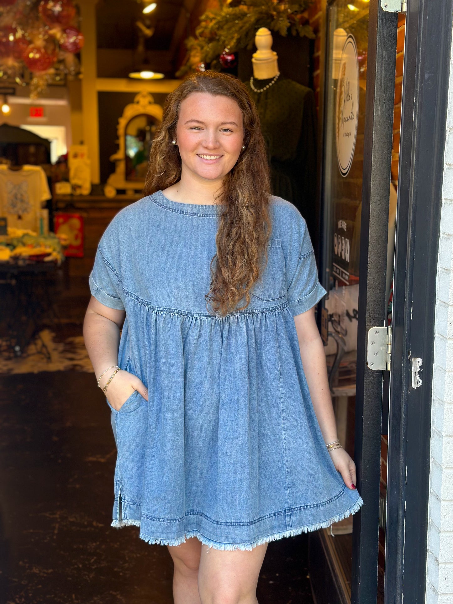 Dani Denim Dress