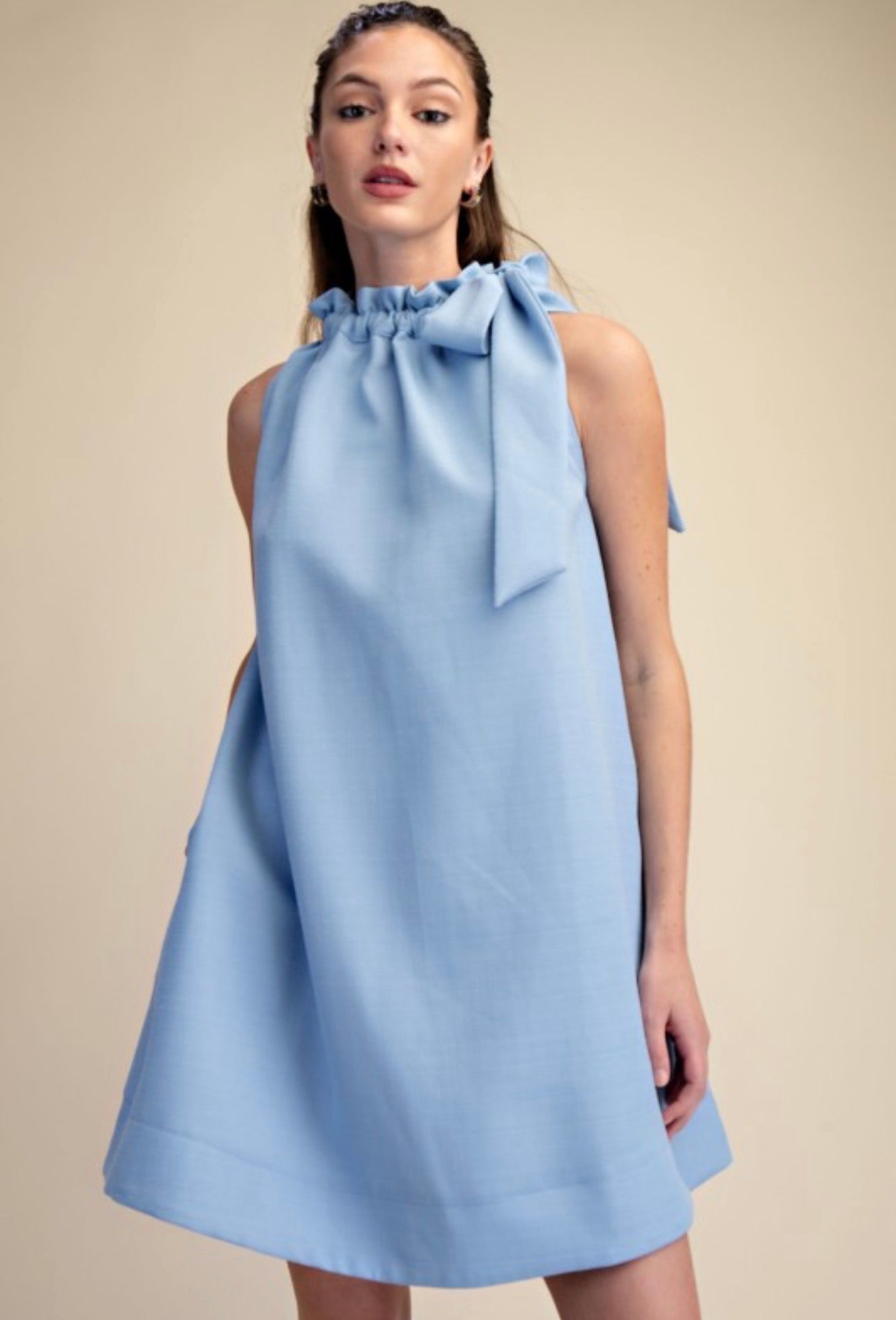 Clara Classy Dress
