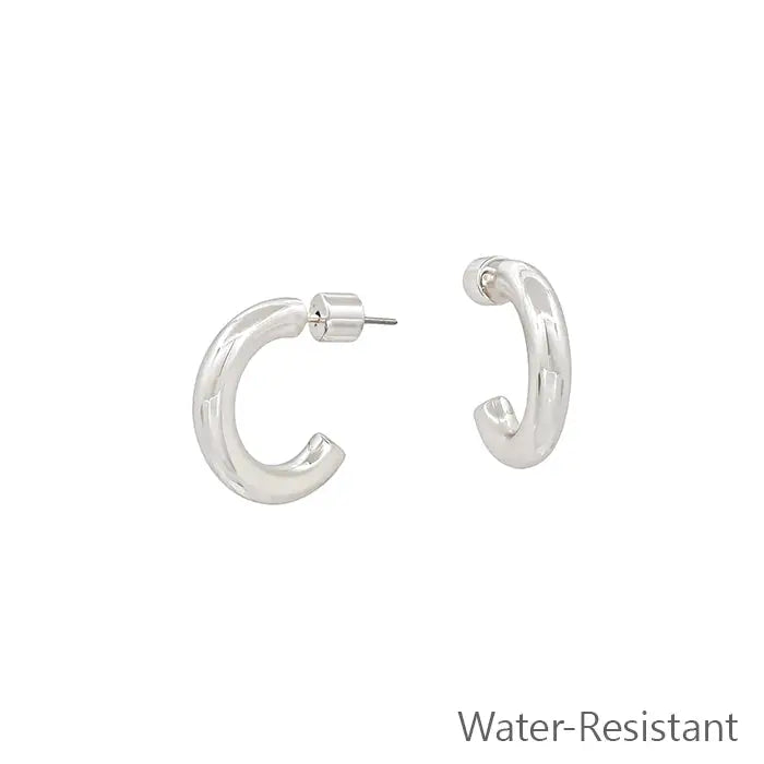 Sally Silver Hoops