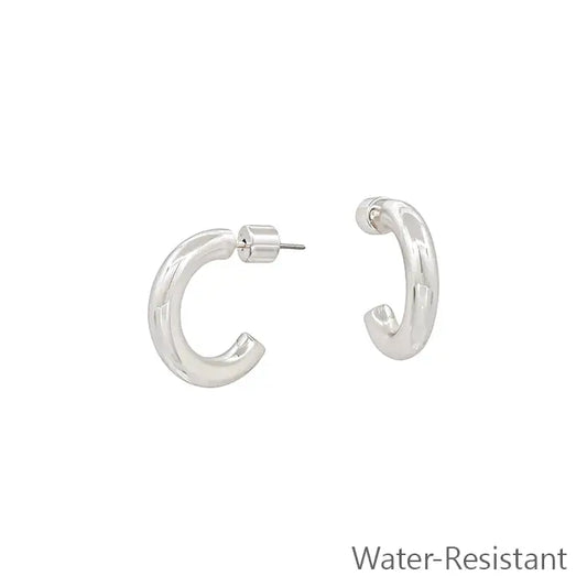 Sally Silver Hoops