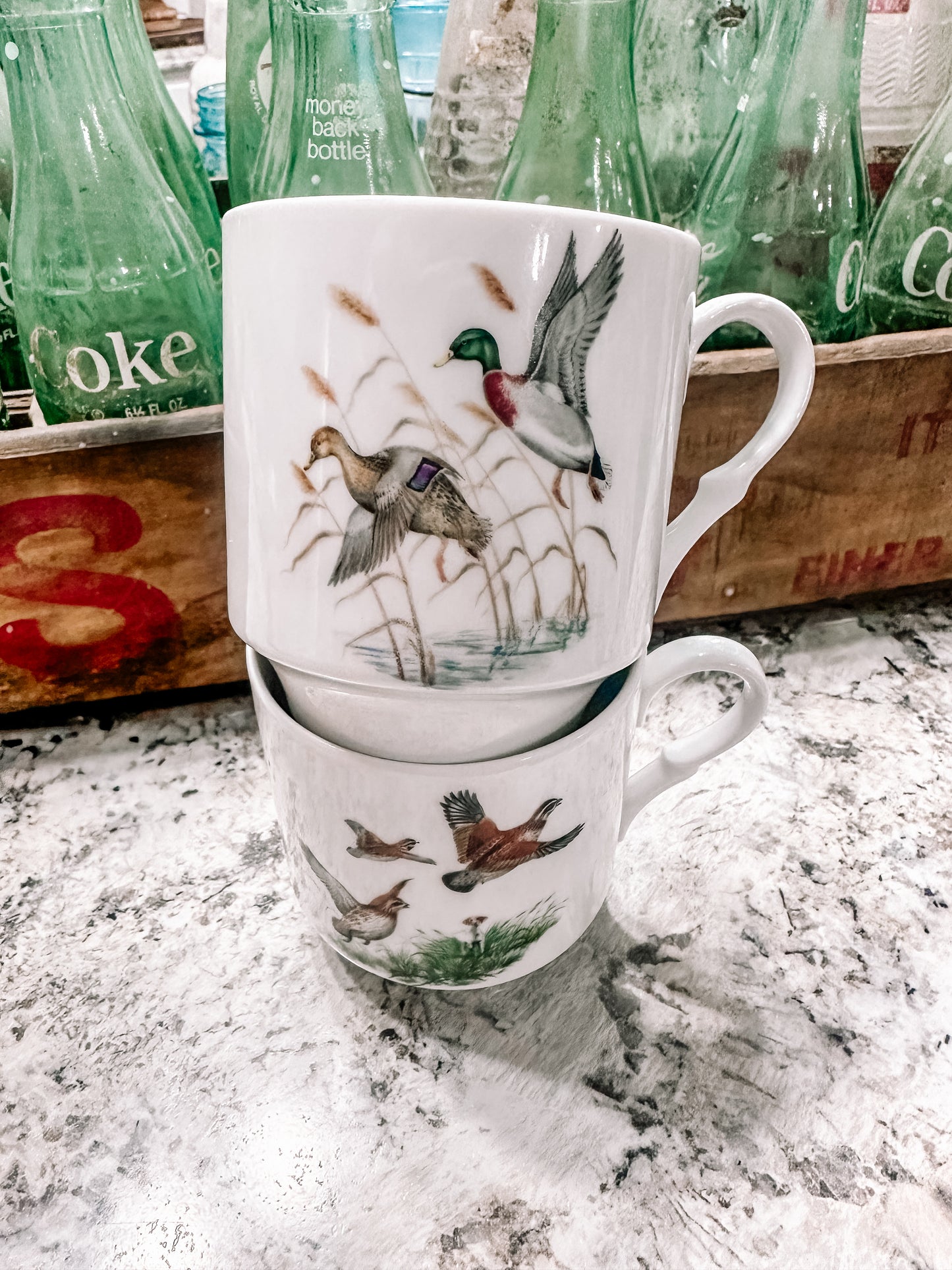 Vintage Duck Mug