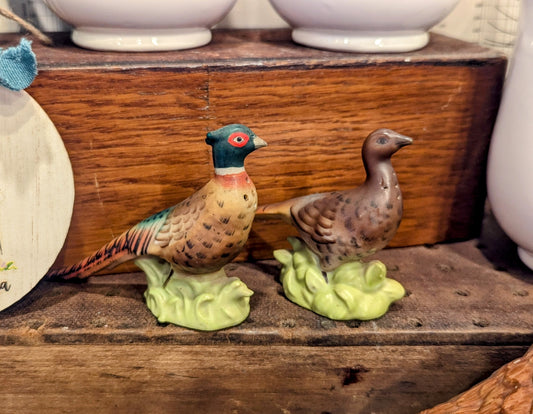 Vintage Pheasant Salt and Pepper Shaker Set