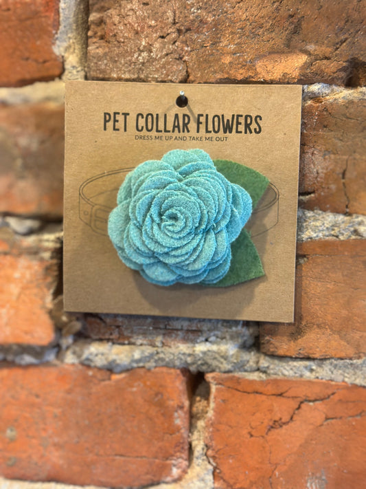 Pet Collar Flowers