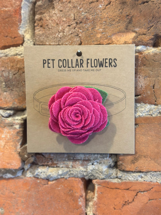 Pet Collar Flowers