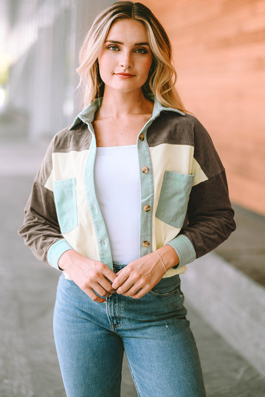 Color Block Collared Neck Jacket