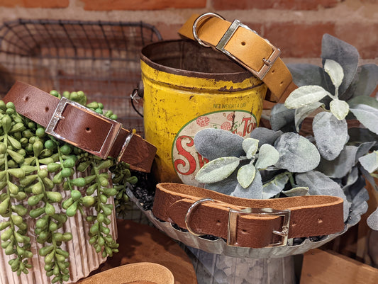Grassfed Leather Dog Collar